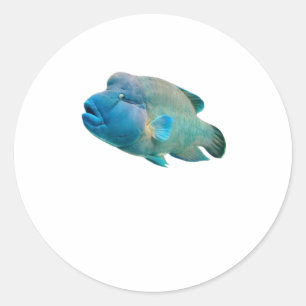 Sticker Rond Majestueux Napoléon Wrasse Bali Art).