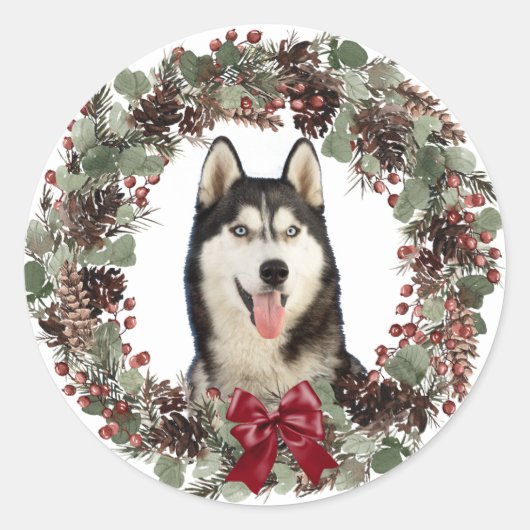 Sticker Rond Malamut Chien rouge Bow Pinecone Wreath Noël (Devant)