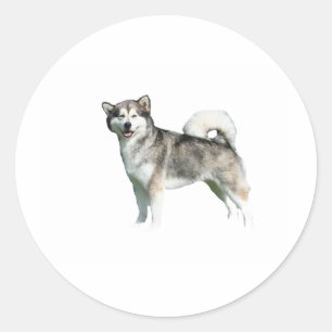 Sticker Rond malamute en alaskan full.png