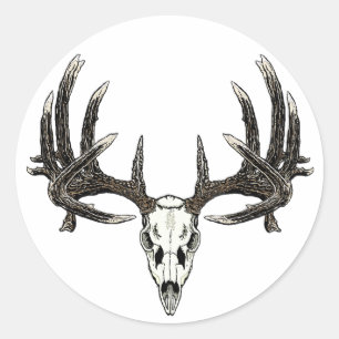 Sticker Rond Mâle de Whitetail de trophée