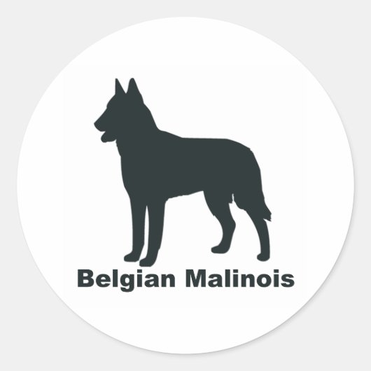 Sticker Rond Malinois belge (Devant)