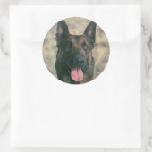 Sticker Rond Malinois - Berger belge -Mechelaar -Maligator (Sac)