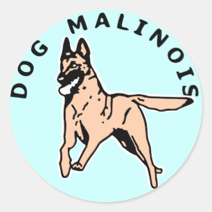 Sticker Rond malinois courrant