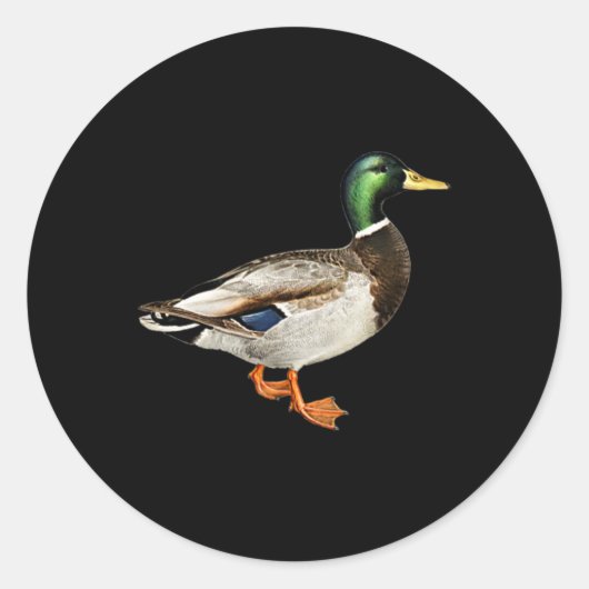 Sticker Rond Mallard Drake Pocket Logo Mallard Ducks Hunti (Devant)