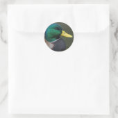 Sticker Rond Mallard Duck (Sac)