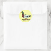 Sticker Rond Mallard Duck Drake (Sac)