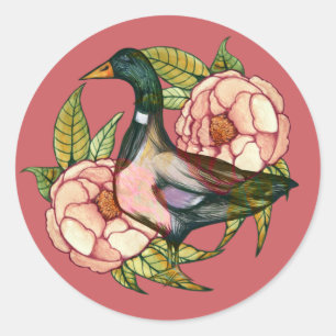 Sticker Rond Mallard Duck Peony Amateurs de nature