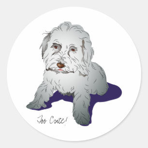 Sticker Rond Maltipoo Cute Puppy