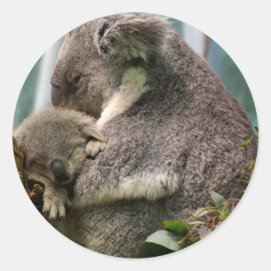 Sticker Rond Maman de koala et nouveau bébé