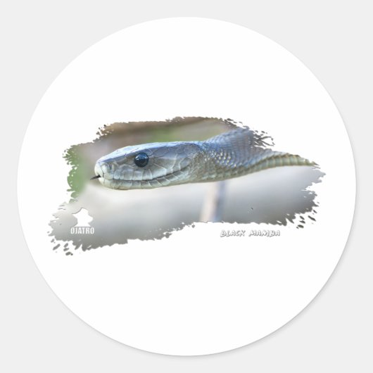 Sticker Rond Mamba noir (Devant)