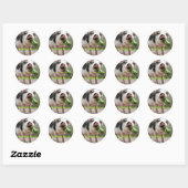 Sticker Rond Mange des légumes verts, pas moi. (Feuille)