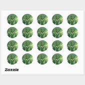 Sticker Rond Marbre Alpi Vert (Feuille)