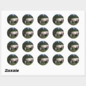 Sticker Rond Mare et Foie Arabe 2 (Feuille)
