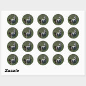 Sticker Rond Mare et poulain arabe (Feuille)