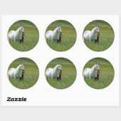 Sticker Rond Mare et poulain dans l'herbe haute (Feuille)