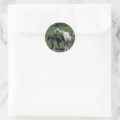 Sticker Rond Mare miniature et pied de poulain (Sac)