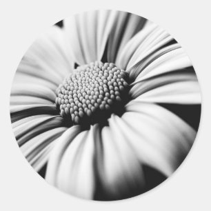 Sticker Rond Marguerite
