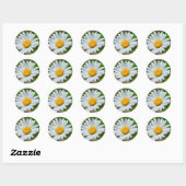 Sticker Rond Marguerite-fleur sauvage426 FLEUR SAUVAGE DAISY SP (Feuille)