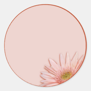 Sticker Rond Marguerite rose