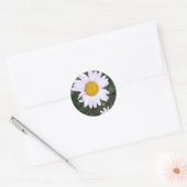 Sticker Rond Marguerites (Enveloppe)