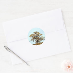 Sticker Rond Mariage d'automne sous un chêne rustique