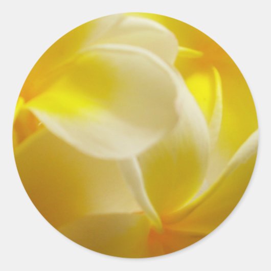 Sticker Rond Mariage d'été (Devant)