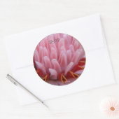 Sticker Rond Mariage Enveloppe de gingembre rose Torch Phoques (Enveloppe)