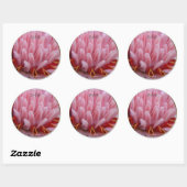 Sticker Rond Mariage Enveloppe de gingembre rose Torch Phoques (Feuille)