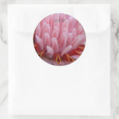 Sticker Rond Mariage Enveloppe de gingembre rose Torch Phoques (Sac)
