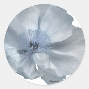 Sticker Rond Mariage Enveloppe Fleurs Bleues