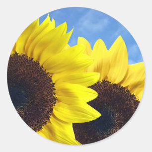 Sticker Rond Mariage Fleur de Tournesol Jaune Floral Soleil