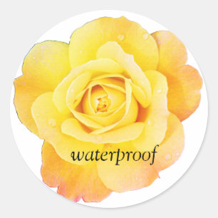 Sticker Rond Mariage floral de rose jaune imperméable aux éclab