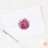 Sticker Rond Mariage personnel rose parfait (Enveloppe)