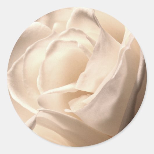 Sticker Rond Mariage Rose blanche Sceau large (Devant)