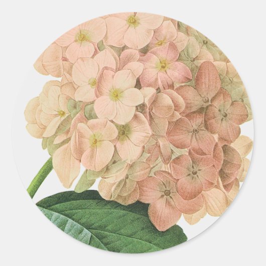 Sticker Rond Mariage vintage de fleurs d'Hydrangea Botanique (Devant)