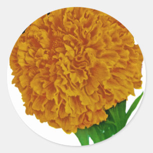 Sticker Rond Marigold Vintage Seed Packet