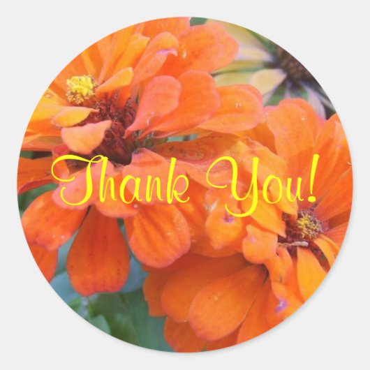 Sticker Rond Marigolds orange (Devant)