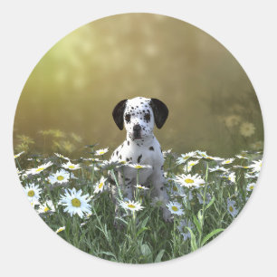 Sticker Rond Marionnette dalmate mignonne dans les marguerites