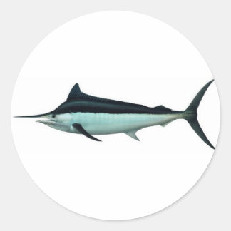 Sticker Rond Marlin