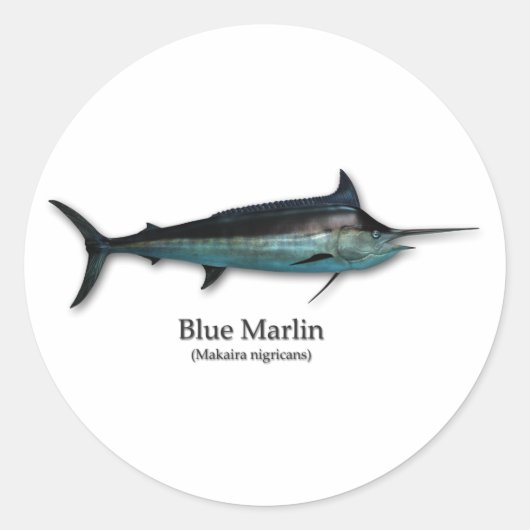 Sticker Rond Marlin bleu (Devant)