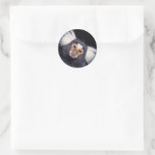 Sticker Rond Marmoset Monkey (Sac)