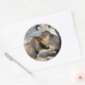 Sticker Rond marmotte (Enveloppe)