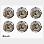 Sticker Rond marmotte (Feuille)