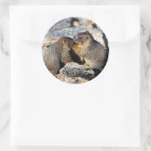 Sticker Rond marmotte (Sac)