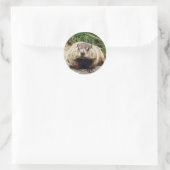 Sticker Rond Marmotte (Sac)