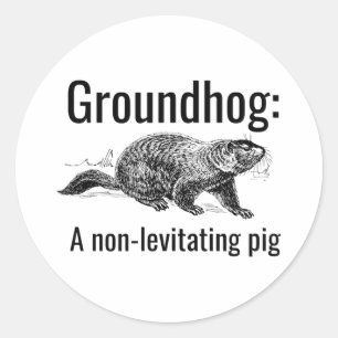 Sticker Rond Marmotte Un Cochon Non-Lévitant Drôle de Jeu de Mo