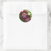 Sticker Rond Maroon Orchids II (Sac)