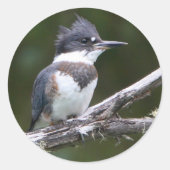 Sticker Rond martin pêcheur (Devant)