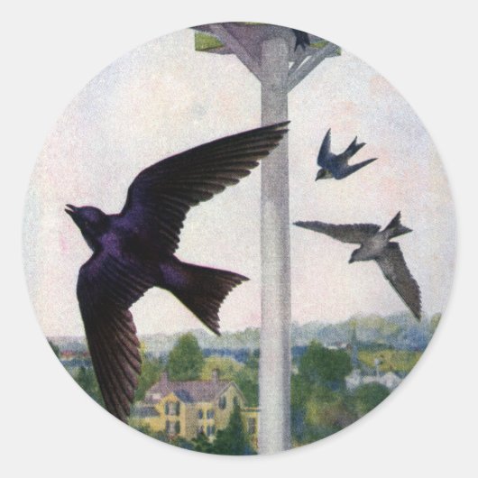 Sticker Rond Martins pourpres et leur maison d'oiseaux (Devant)