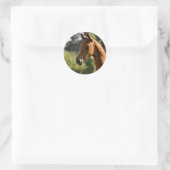 Sticker Rond Masques semi-arabes au soleil. (Sac)